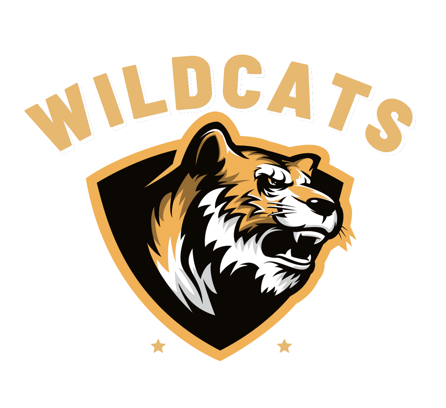 HC Corminboeuf